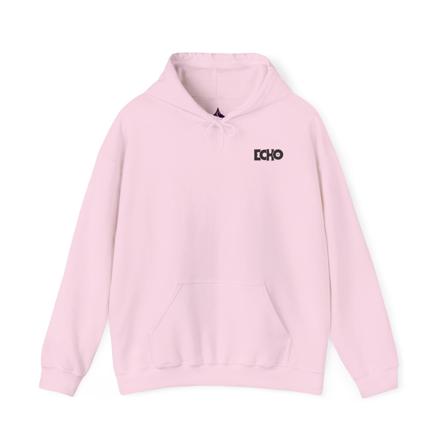Echo | Jin of BTS
